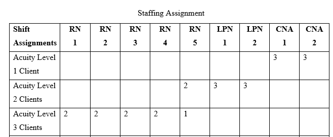 rationale for the staffing assignment