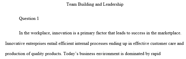 Critically examine the five team processes that encourage innovation.