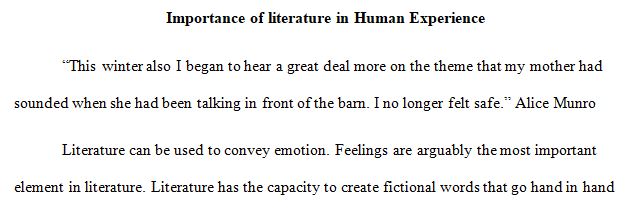 Explain the importance of literature in the human experience