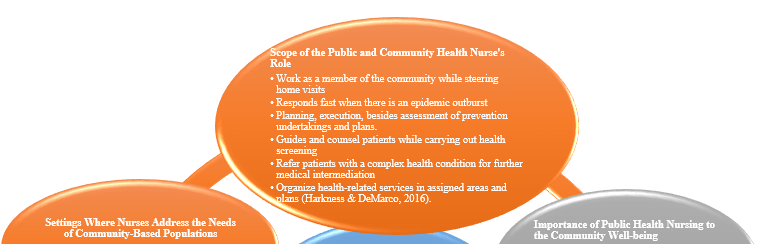 how public health operations work in the local community