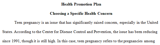 Develop a hypothetical health promotion plan