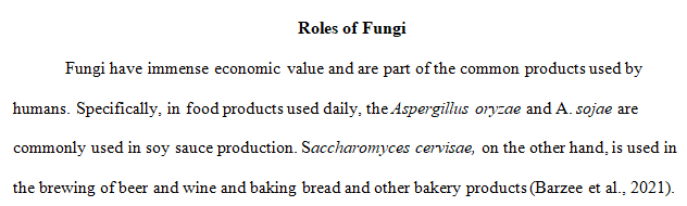 the roles that fungi