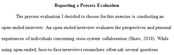 process evaluation report