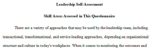 Describe the three broad skill areas assessed in this questionnaire