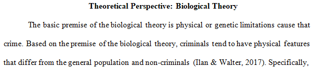 theoretical perspective