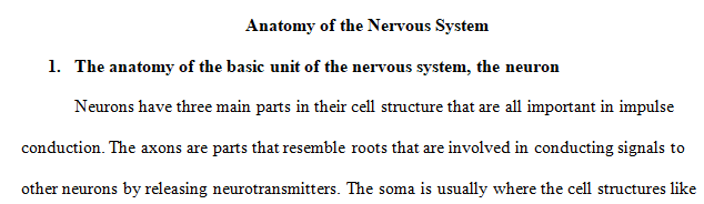 anatomy of the basic unit of the nervous system